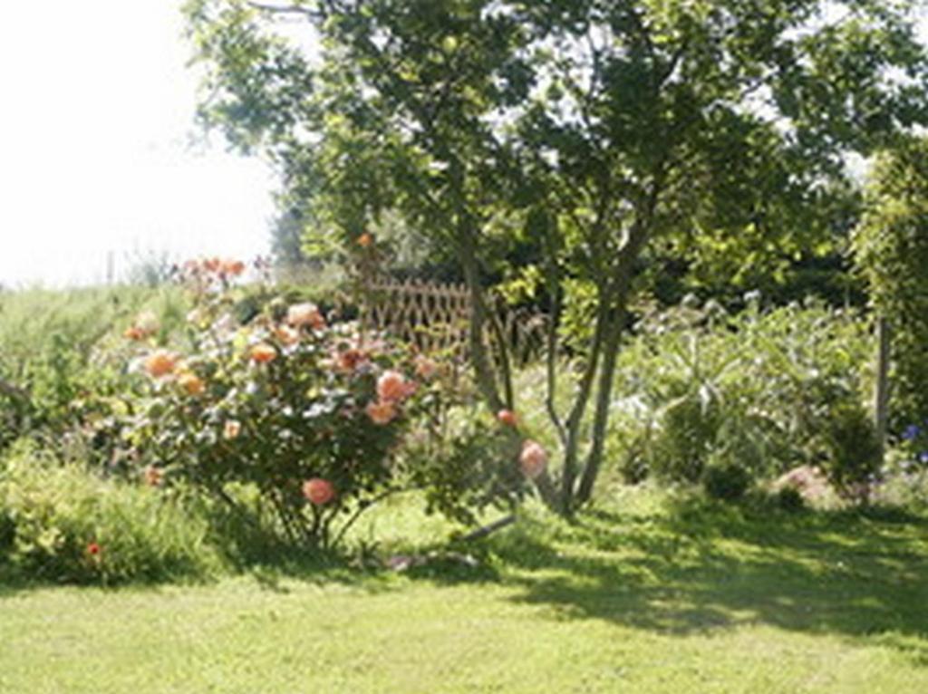 B&B Kerlilou Plouguiel Bagian luar foto